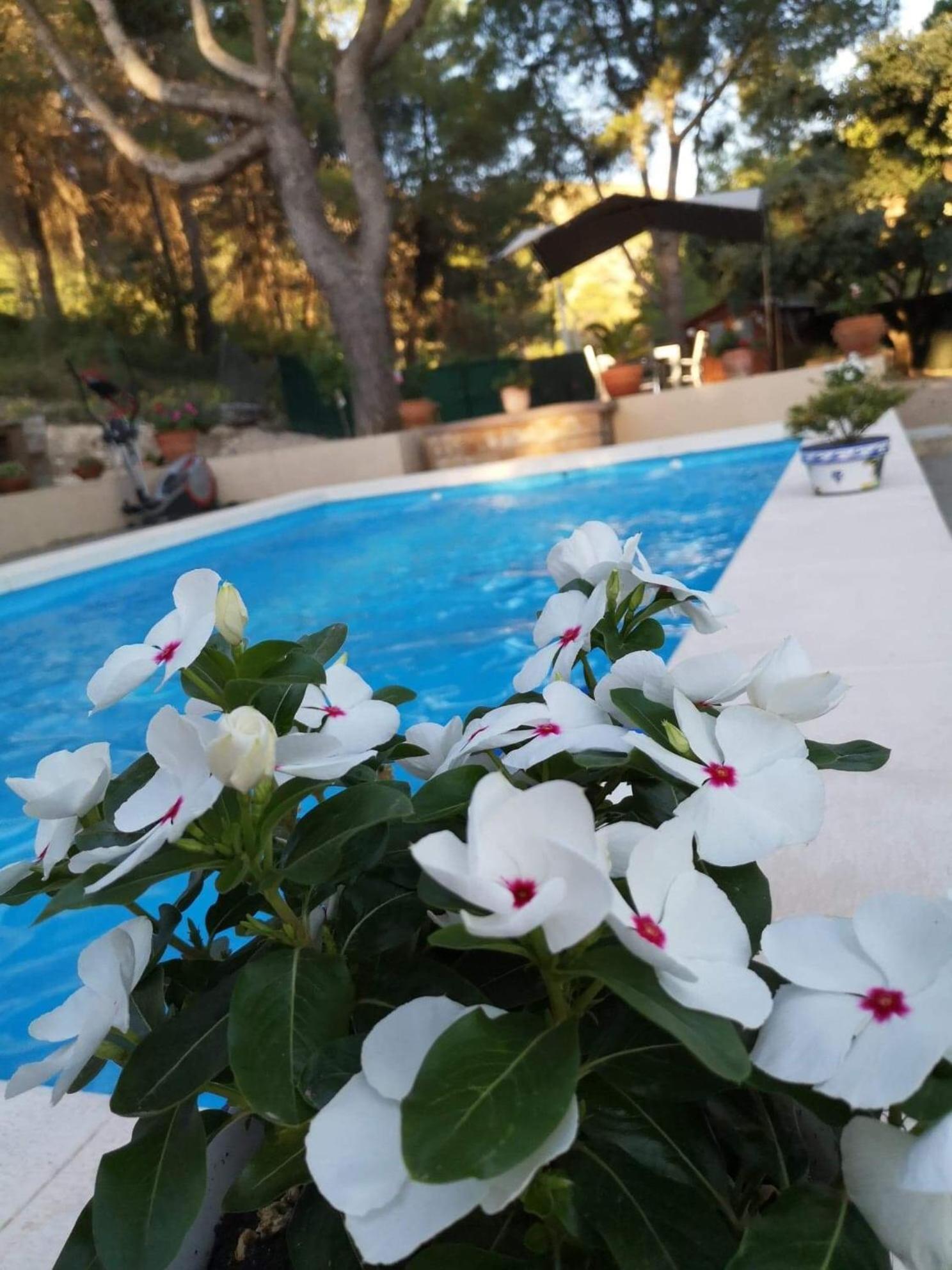 Bed and Breakfast Casa Jetizo Ontinyent Esterno foto