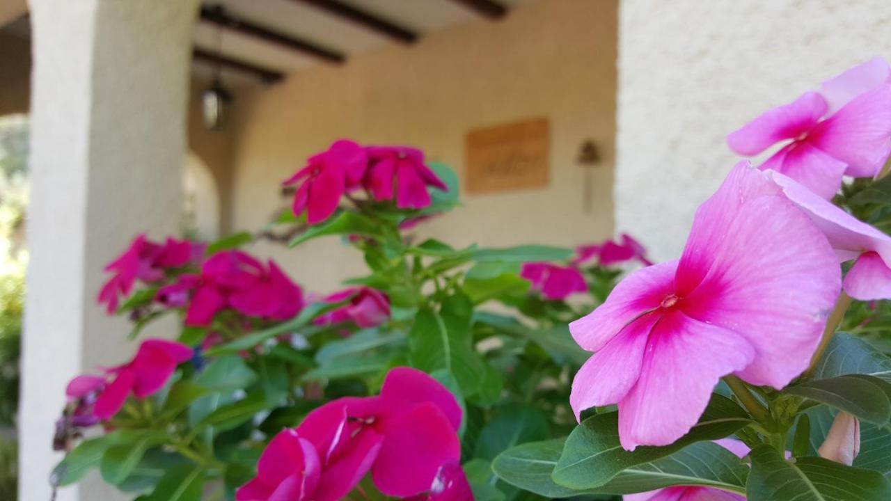 Bed and Breakfast Casa Jetizo Ontinyent Esterno foto