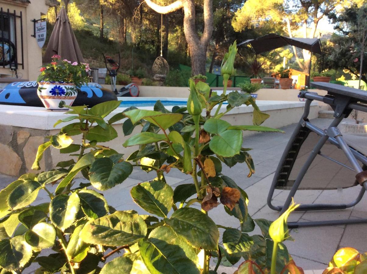 Bed and Breakfast Casa Jetizo Ontinyent Esterno foto