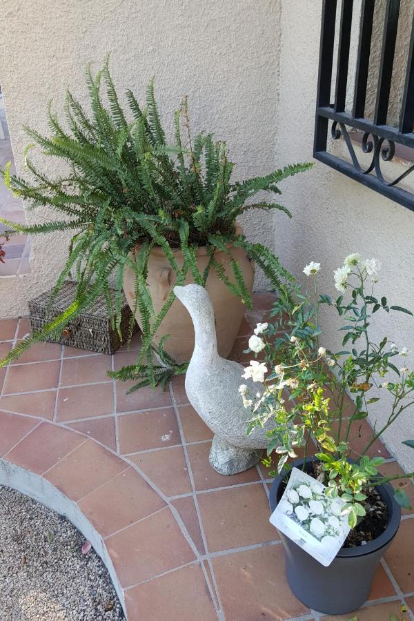 Bed and Breakfast Casa Jetizo Ontinyent Esterno foto