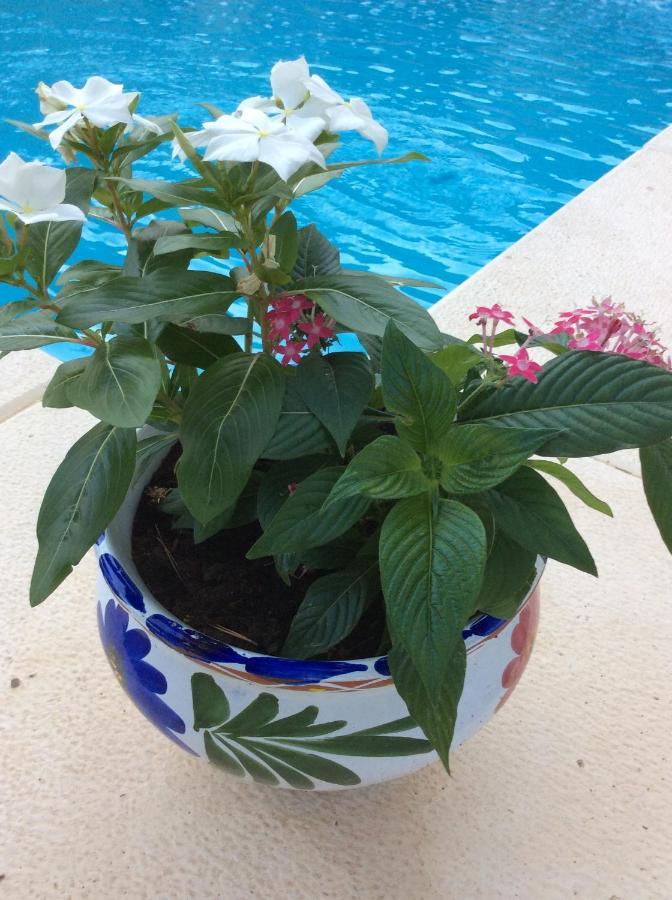 Bed and Breakfast Casa Jetizo Ontinyent Esterno foto
