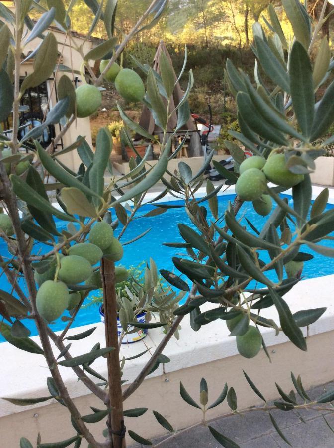 Bed and Breakfast Casa Jetizo Ontinyent Esterno foto