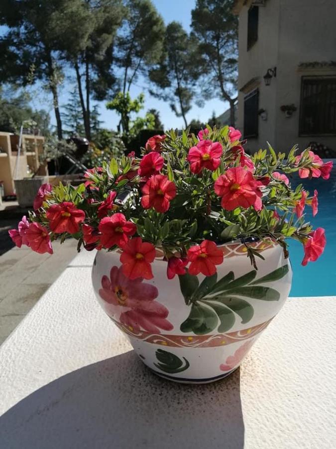 Bed and Breakfast Casa Jetizo Ontinyent Esterno foto